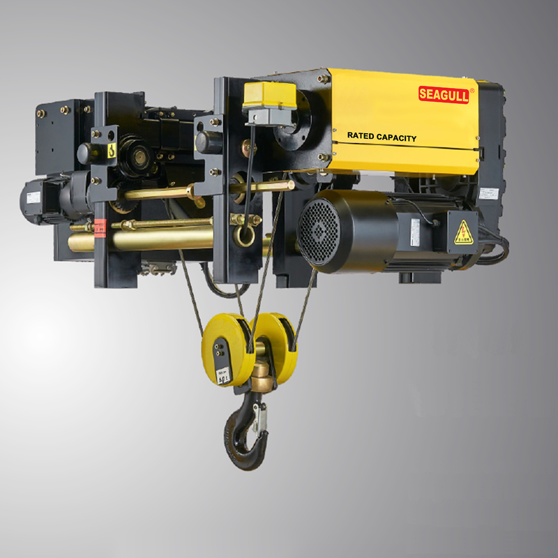 220V-480V Single/Dual Speed Variable Frequency Chain Lift Daya motor 0,2-37KW